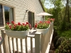 wb-deck-wplants-website
